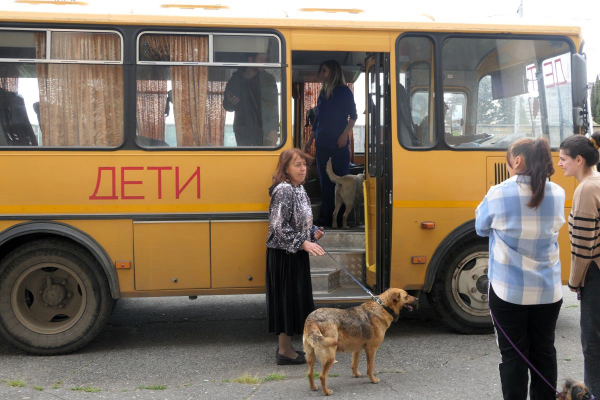 08 Ein Schulbus voller Hunde