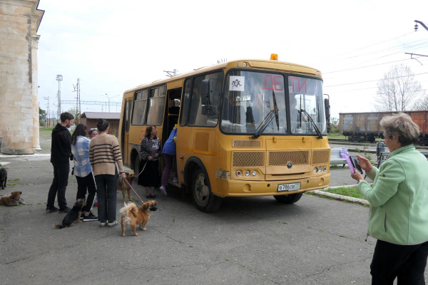 09 Ein Schulbus voller Hunde
