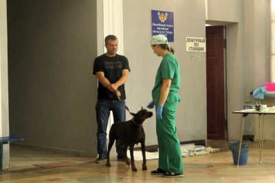 Stolzer Besitzer einer Dobermann Huendin